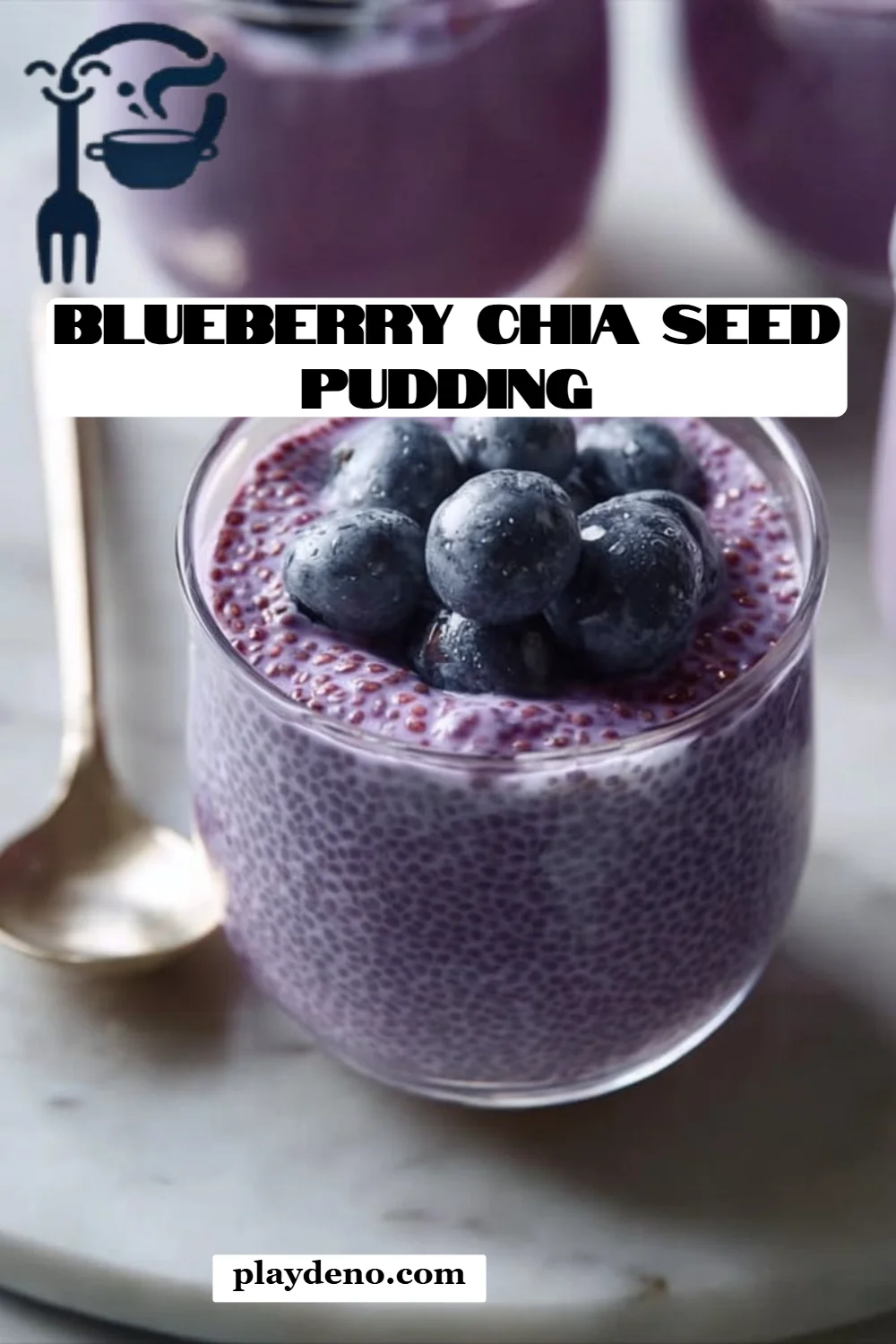Blueberry Chia Seed Pudding