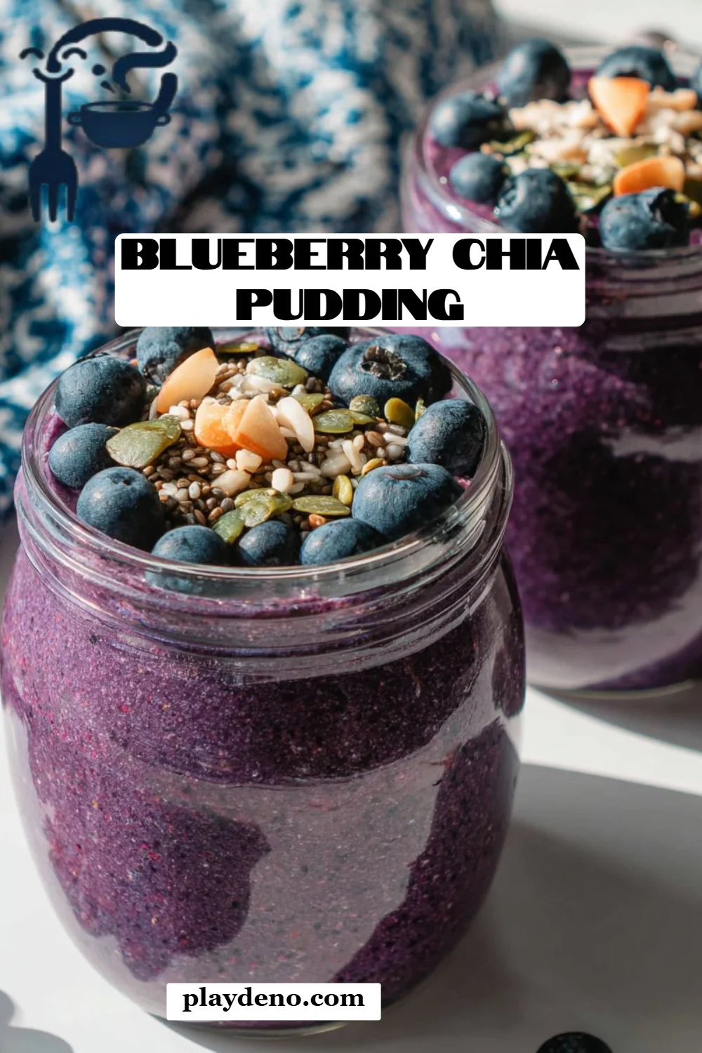 Blueberry Chia Pudding